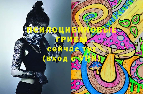 2c-b Козловка
