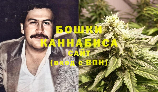 прущие крисы Магас