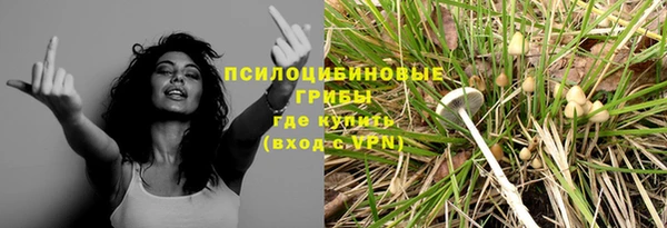 шишки Медногорск