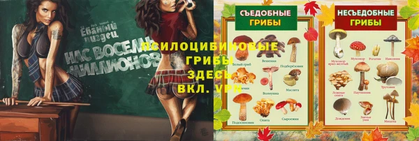 наркотики Кодинск
