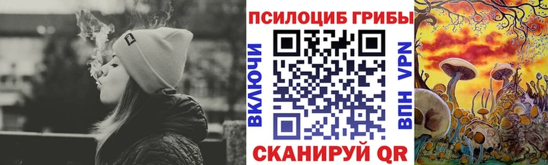 Купить  Артёмовский  Псилоцибиновые грибы MAGIC MUSHROOMS 